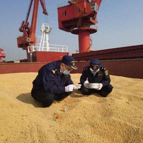 《多重人生种田攻略:高效种田技巧揭秘》 《多重人生种田攻略:高效种田技巧揭秘》