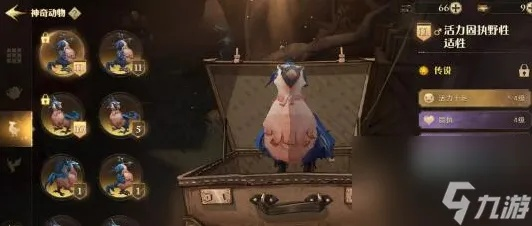 《哈利波特觉醒：红色鳞甲7-10关攻略，轻松通关秘籍》