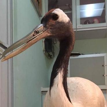 《揭秘！十大热门假3D游戏，哪款才是你的菜？》