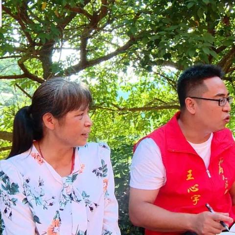 《解忧小村落收菜攻略:平民玩家必看技巧》 《解忧小村落收菜攻略:平民玩家必看技巧》