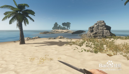 荒岛生存必备！王如何高效复制物品攻略揭秘