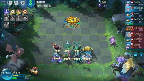 库库姆新手阵容攻略：高效搭配助你快速上手