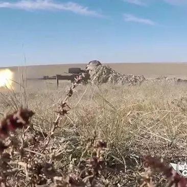 太空鹅鸭杀猎鹰攻略：高效猎杀技巧揭秘