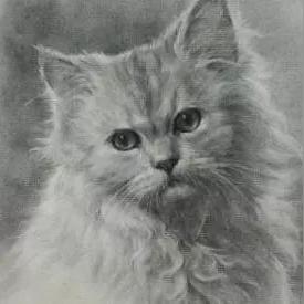 猫咪公寓2撸猫秘籍:天赋解锁攻略全解析 猫咪公寓2撸猫秘籍:天赋解锁攻略全解析