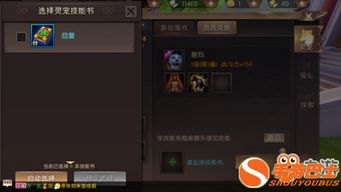 幻唐志洗宠打书技巧全解析,高效提升战斗力 幻唐志洗宠打书技巧全解析,高效提升战斗力