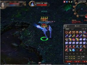 《神龟领主通关秘籍:坠落守望者独家攻略》 《神龟领主通关秘籍:坠落守望者独家攻略》