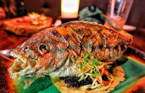 动物餐厅鱼干收益翻倍攻略！