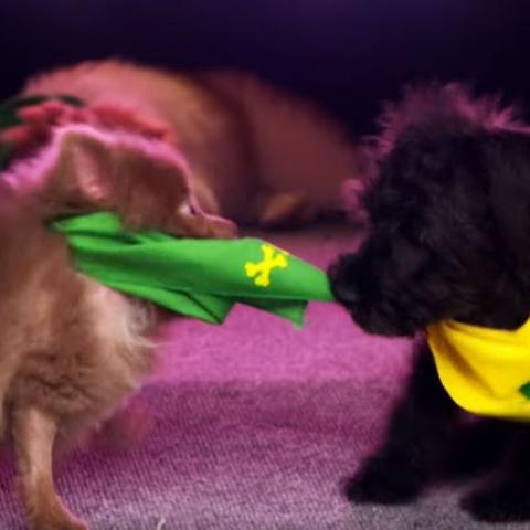 足球游戏VS美式足球游戏：盘点十大经典之作！