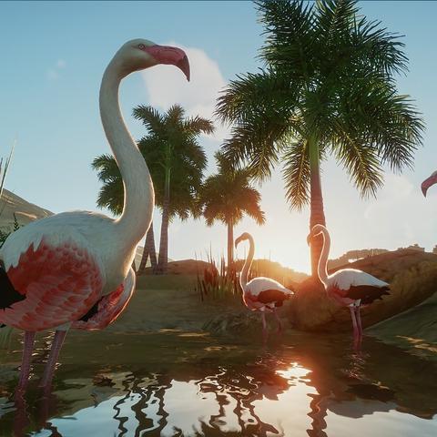 《类魂游戏盘点：十大经典不容错过的下载之作》