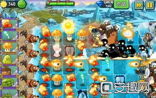 《农夫绿豆炮兵皮肤解锁攻略：豌豆射手皮肤获取秘籍》