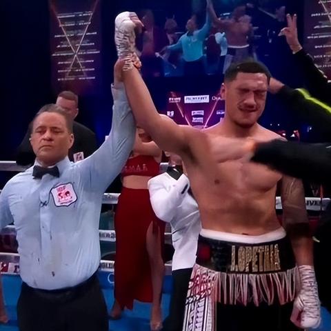 《拳坛巅峰!盘点十大必玩拳击游戏排行》 《拳坛巅峰!盘点十大必玩拳击游戏排行》