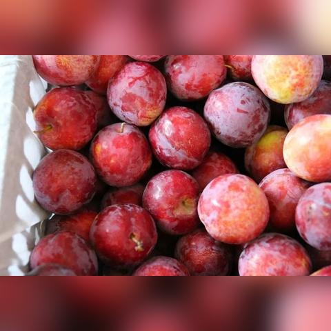 《基地建设游戏盘点:热门精选,打造你的虚拟王国》 《基地建设游戏盘点:热门精选,打造你的虚拟王国》