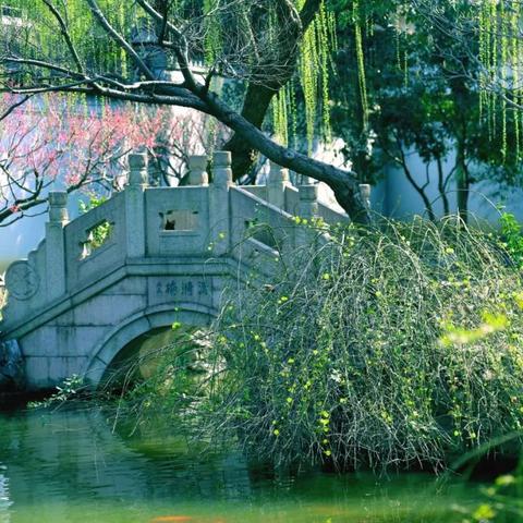 水乡芳华录新手必看:居民选择与元宝高效使用攻略 水乡芳华录新手必看:居民选择与元宝高效使用攻略