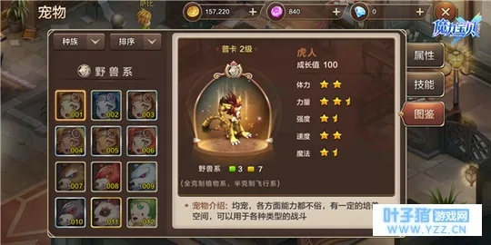 勇者宠物选择攻略:揭秘最佳搭配技巧 勇者宠物选择攻略:揭秘最佳搭配技巧