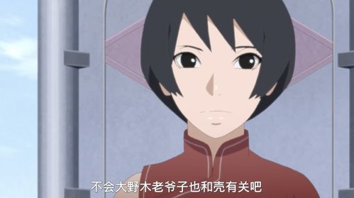 《博人传》新忍达鲁伊高招揭秘！独家爆料！