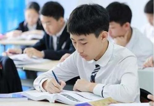 2024年热门经营游戏盘点：盘点那些让你欲罢不能的经营管理游戏