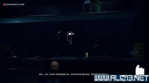 《暗杀高手集结！揭秘最新潜入暗杀游戏排行》