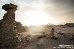 《温弗雷多遗迹探秘:拍照圣地大揭秘》 《温弗雷多遗迹探秘:拍照圣地大揭秘》