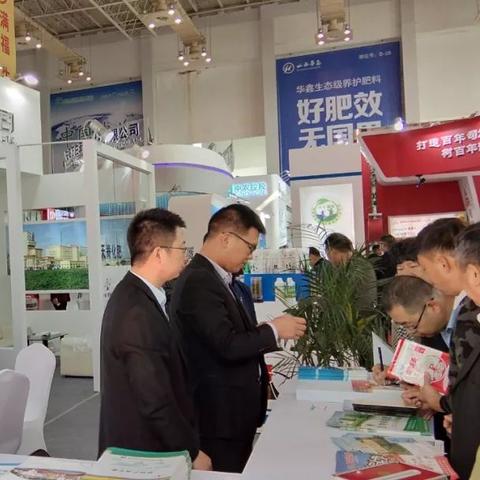 《热门推荐！盘点下载量爆棚的独家视角游戏》