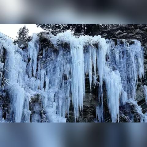 《桃源记冬季生存指南：独家攻略揭秘》