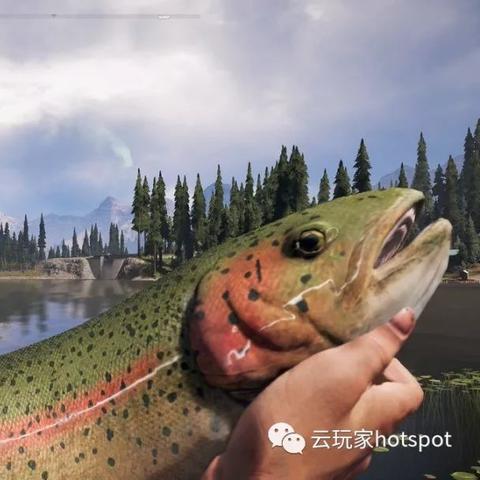 《新曙光钓鱼攻略：轻松致富的秘密技巧》