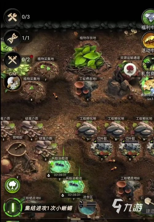 小小蚁国新手攻略：初期进化类型选择全解析