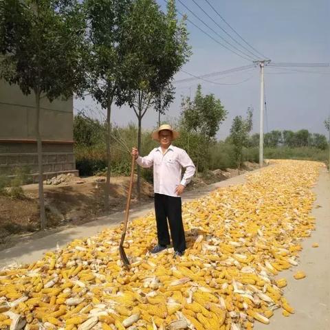 四海兄弟故乡卡顿解决攻略:快速恢复流畅体验 四海兄弟故乡卡顿解决攻略:快速恢复流畅体验