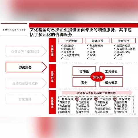 创业避坑攻略：100万起步，公司成长指南
