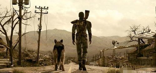 废土游戏盘点:揭秘十大经典废土游戏排行 废土游戏盘点:揭秘十大经典废土游戏排行