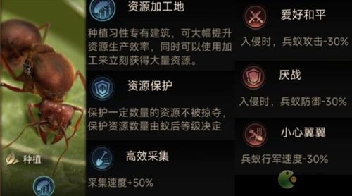 《小小蚁国平民攻略:高效玩法技巧揭秘》 《小小蚁国平民攻略:高效玩法技巧揭秘》