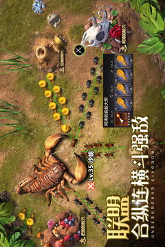 《轻松换区攻略：小小蚁国转区秘籍》