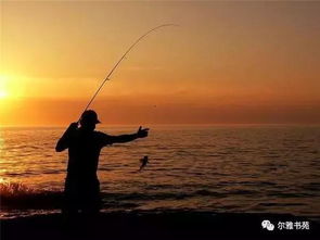 《狩猎时刻钓鱼攻略:高效钓鱼技巧揭秘》 《狩猎时刻钓鱼攻略:高效钓鱼技巧揭秘》
