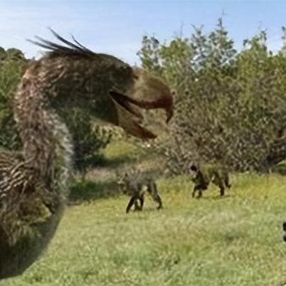 《狩猎时刻宠物蛋孵化攻略:快速孵化技巧揭秘》 《狩猎时刻宠物蛋孵化攻略:快速孵化技巧揭秘》