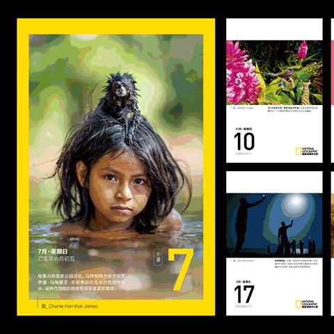 《狩猎时刻宠物蛋孵化攻略:快速孵化技巧揭秘》 《狩猎时刻宠物蛋孵化攻略:快速孵化技巧揭秘》