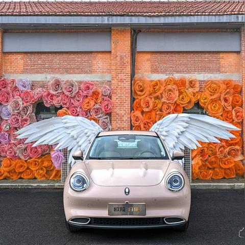 《热门猫游戏盘点：2023年度最受玩家喜爱排行》