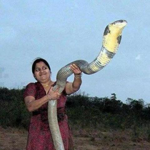 弹射游戏盘点：热门人气弹射游戏排行推荐