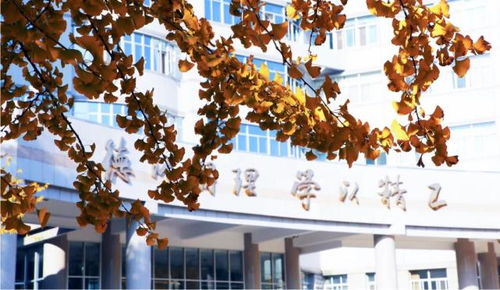 《热门实用工具游戏盘点：这些神器你玩过吗？》