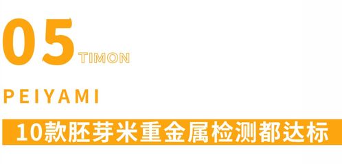 《掷在四方新手攻略:快速上手必备技巧》 《掷在四方新手攻略:快速上手必备技巧》