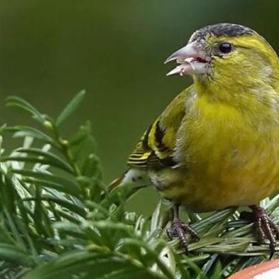 非洲港口投资指南：黎明之海港口投资哪家强？