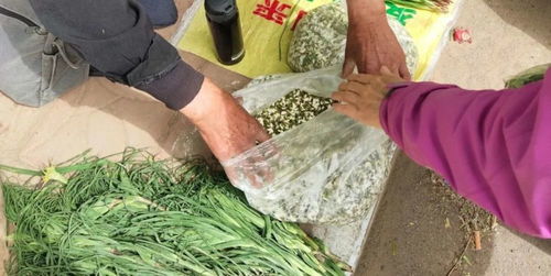 2024年度最佳异步多人游戏盘点:盘点最热门的异步多人游戏 2024年度最佳异步多人游戏盘点:盘点最热门的异步多人游戏