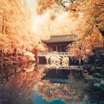 暗黑破坏神不朽:荣誉商人NPC精准位置速查攻略 暗黑破坏神不朽:荣誉商人NPC精准位置速查攻略