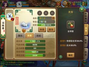 《宠物再战攻略:高效出战技巧揭秘》 《宠物再战攻略:高效出战技巧揭秘》