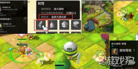 《宠物再战攻略:高效出战技巧揭秘》 《宠物再战攻略:高效出战技巧揭秘》