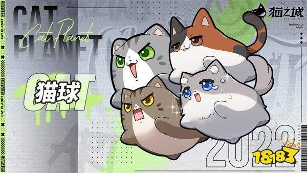 猫之城体力高效利用指南：轻松提升战力攻略