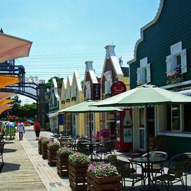 《生存大作战酒馆攻略：独家秘籍，轻松升级》