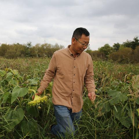 桃源记2种田达人攻略:高效种植技巧全解析 桃源记2种田达人攻略:高效种植技巧全解析