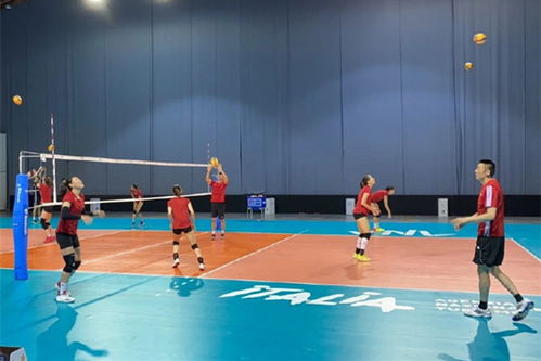 华夏绘世录千锻玄锋队搭配攻略：最强阵容曝光