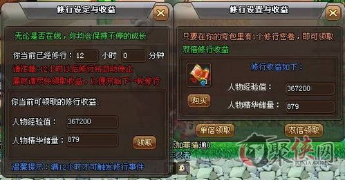 一念逍遥器纹共鸣快速升级指南，战力飙升秘籍！