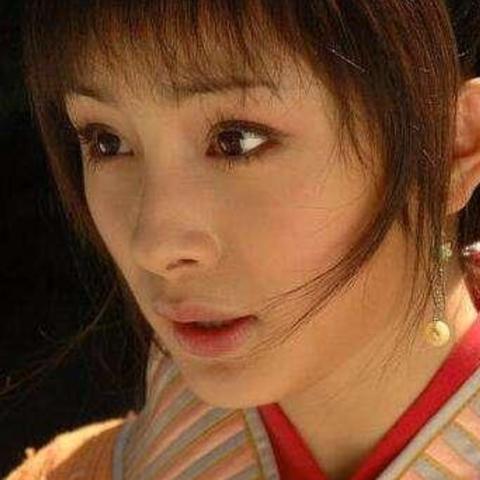 《文明与征服王昭君阵容搭配技巧揭秘》