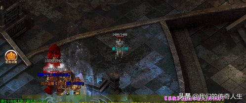 《猎杀者四族攻略：揭秘压制与克制之道》